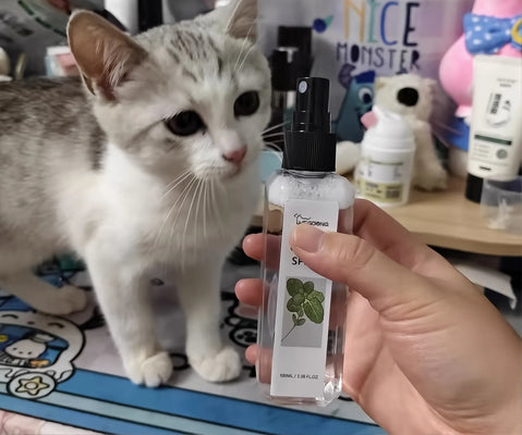 Every Cat Toy Needs This JOYCAT Spray—Trust Me!