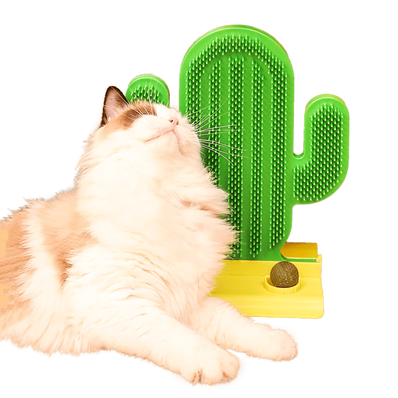 Cactus Cat Soothing Post - MaoMao - Paws