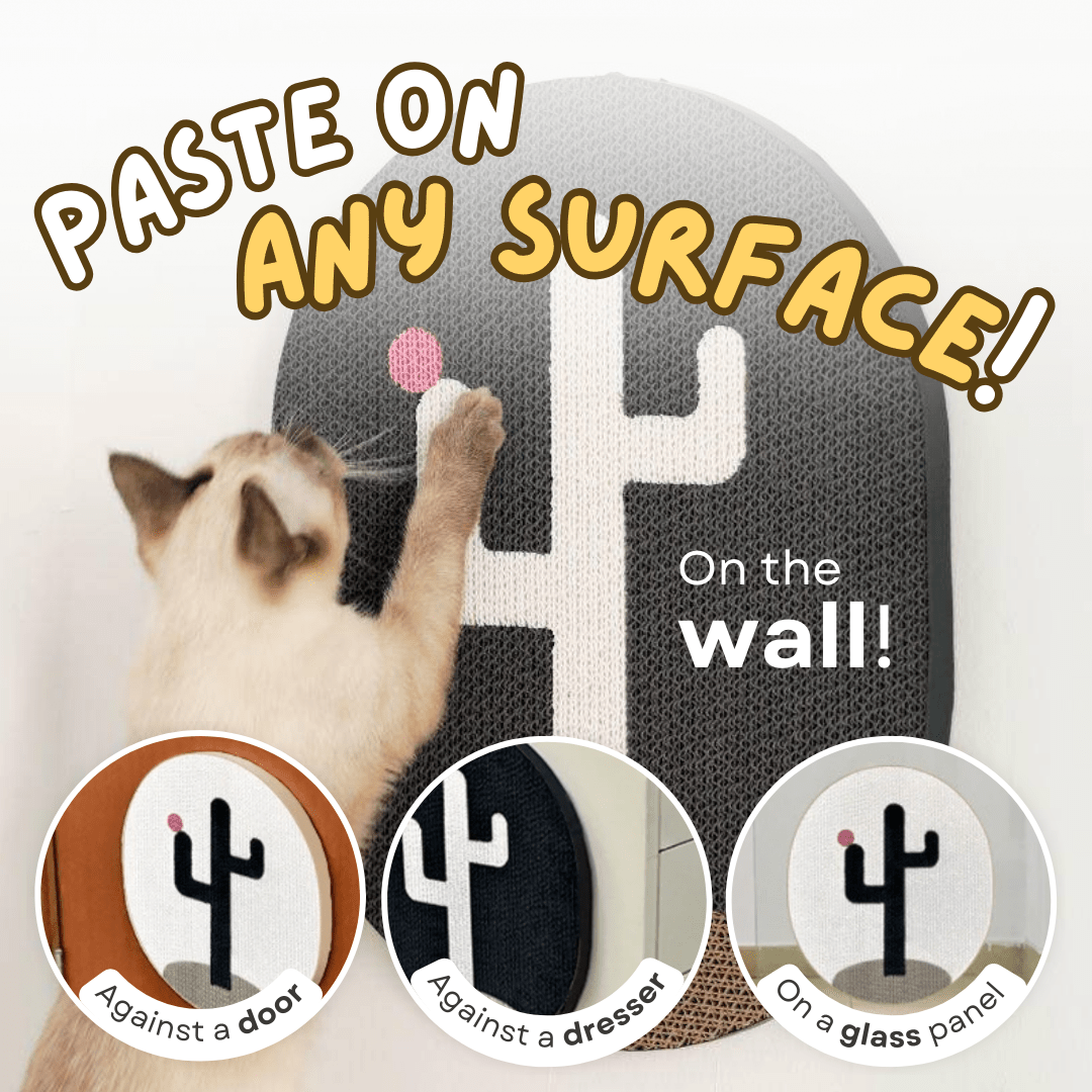 Cactus Wall Scratcher - MaoMao - Paws