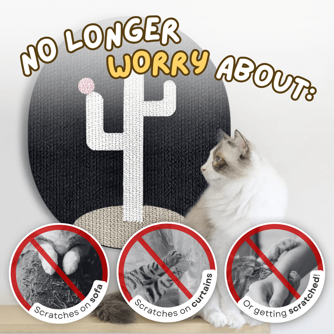 Cactus Wall Scratcher - MaoMao - Paws