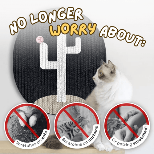 Cactus Wall Scratcher - MaoMao - Paws