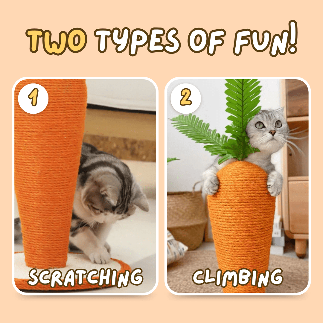 Carrot Cat Scratching Post - MaoMao - Paws
