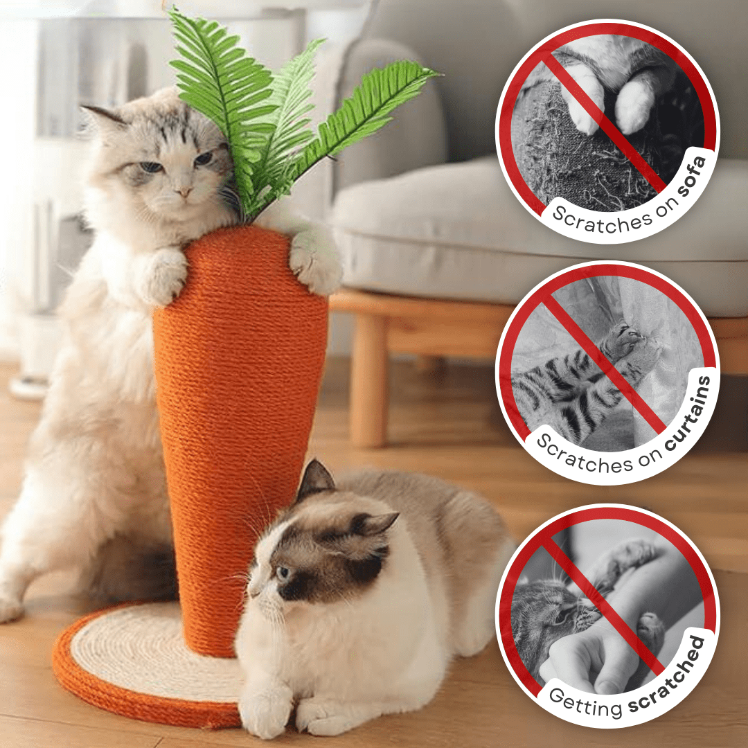 Carrot Cat Scratching Post - MaoMao - Paws