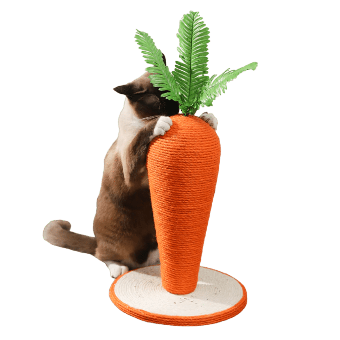 Carrot Cat Scratching Post - MaoMao - Paws