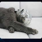 Cat Astronaut Muzzle - MaoMao - Paws