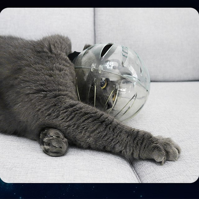Cat Astronaut Muzzle - MaoMao - Paws