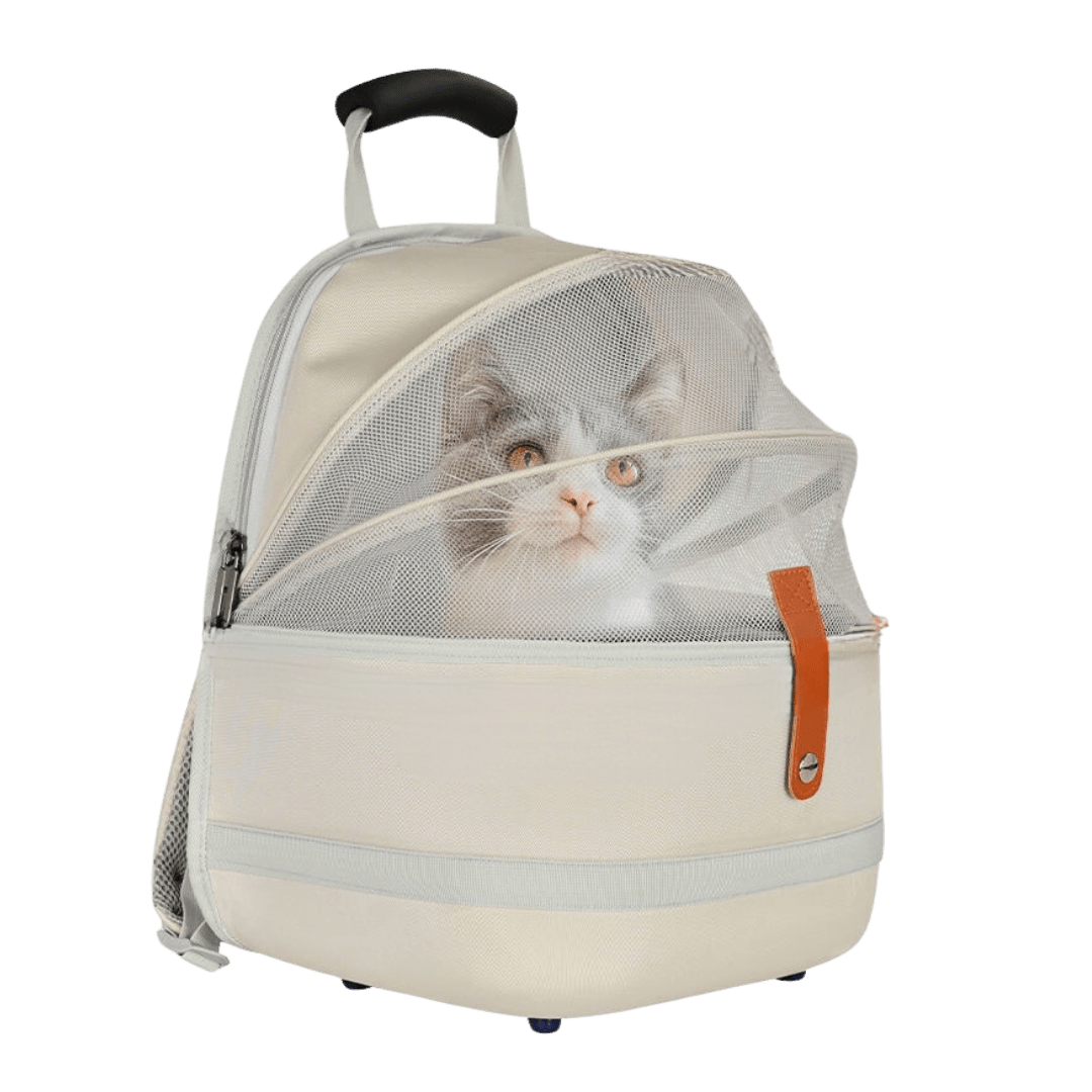 Cat Backpack - MaoMao - Paws