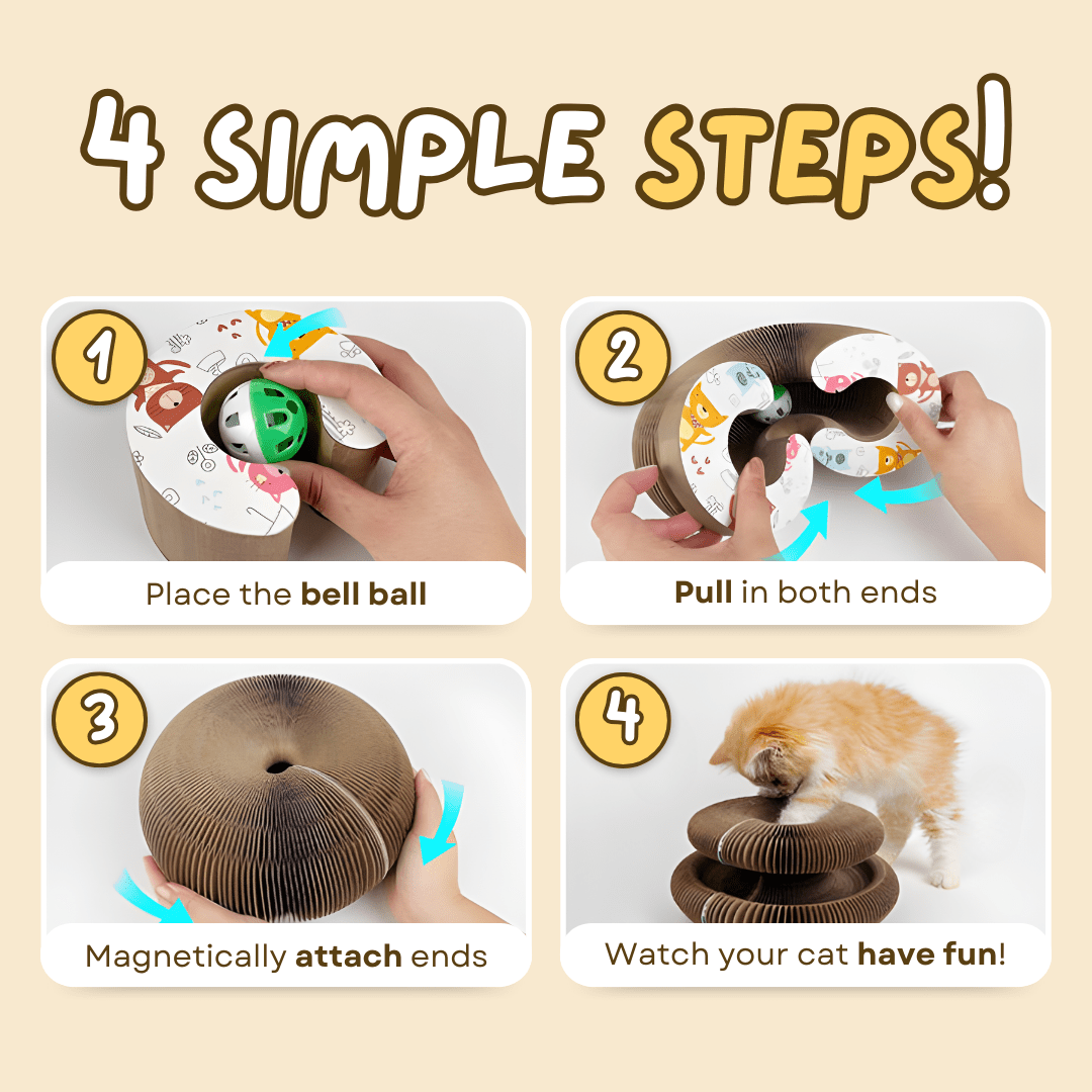 Cat Ball Toy - MaoMao - Paws