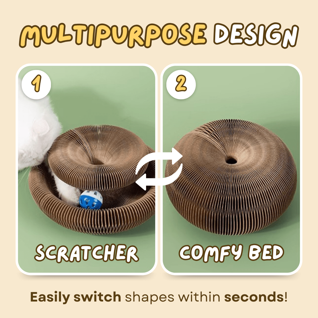 Cat Ball Toy - MaoMao - Paws