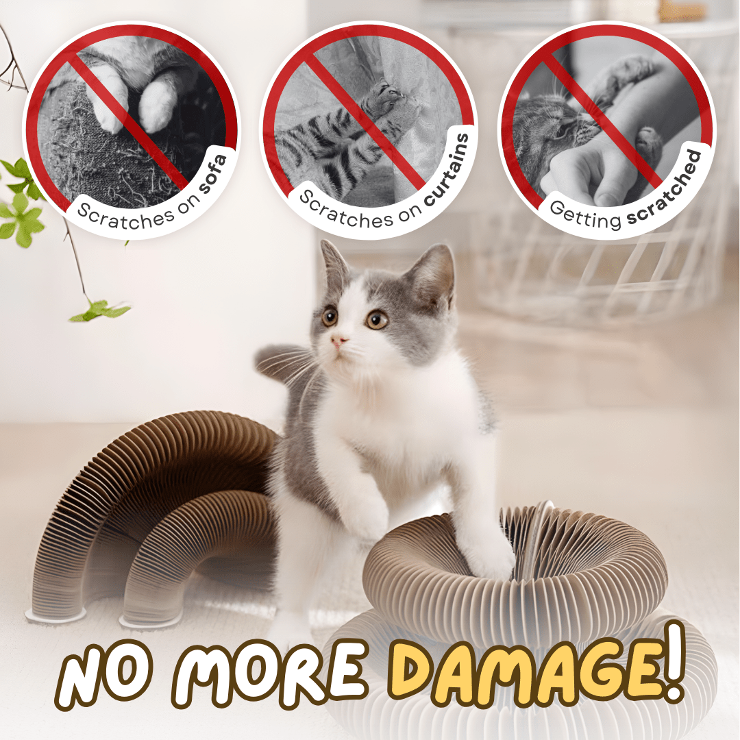 Cat Ball Toy - MaoMao - Paws