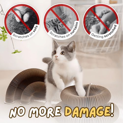 Cat Ball Toy - MaoMao - Paws