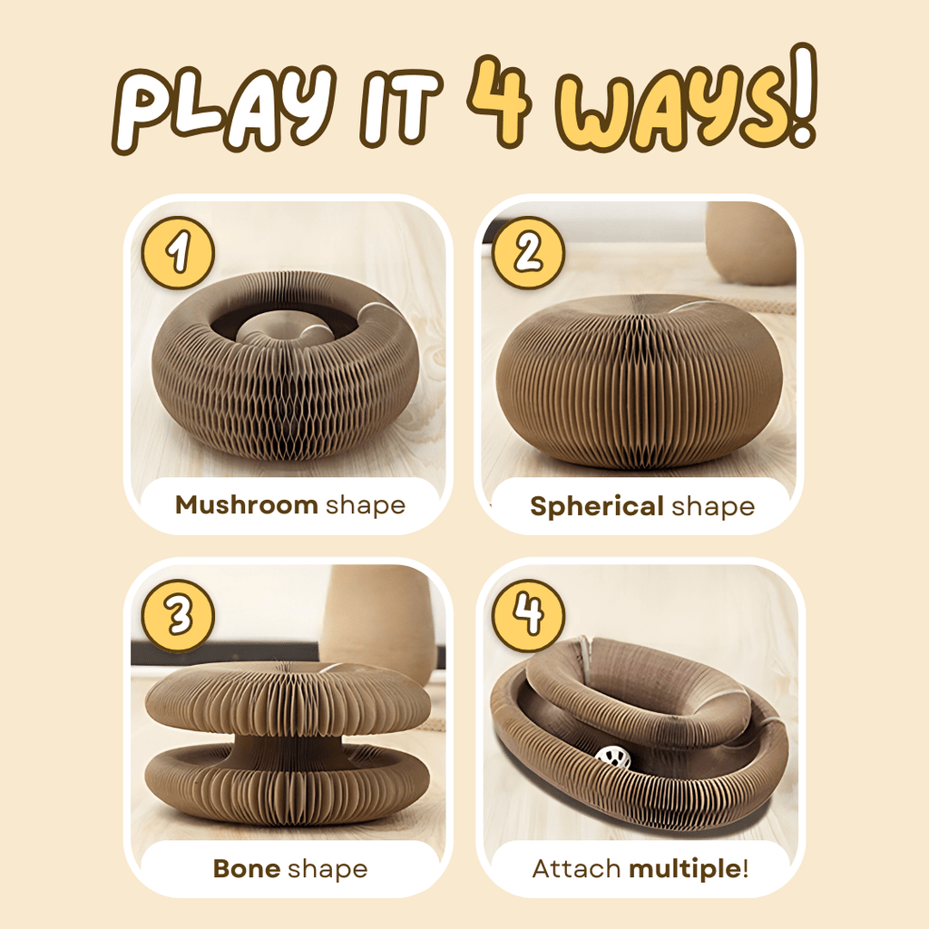 Cat Ball Toy - MaoMao - Paws