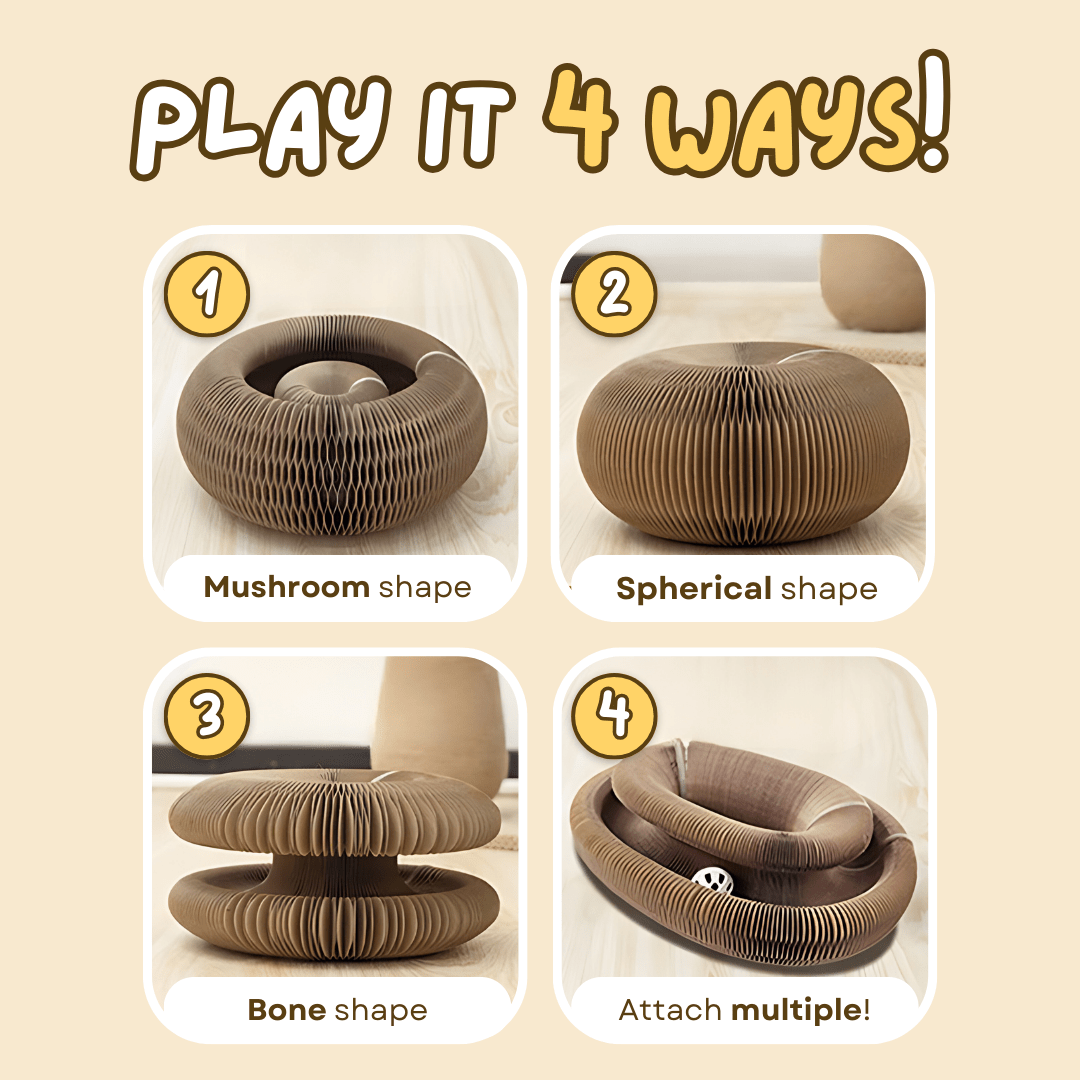 Cat Ball Toy - MaoMao - Paws