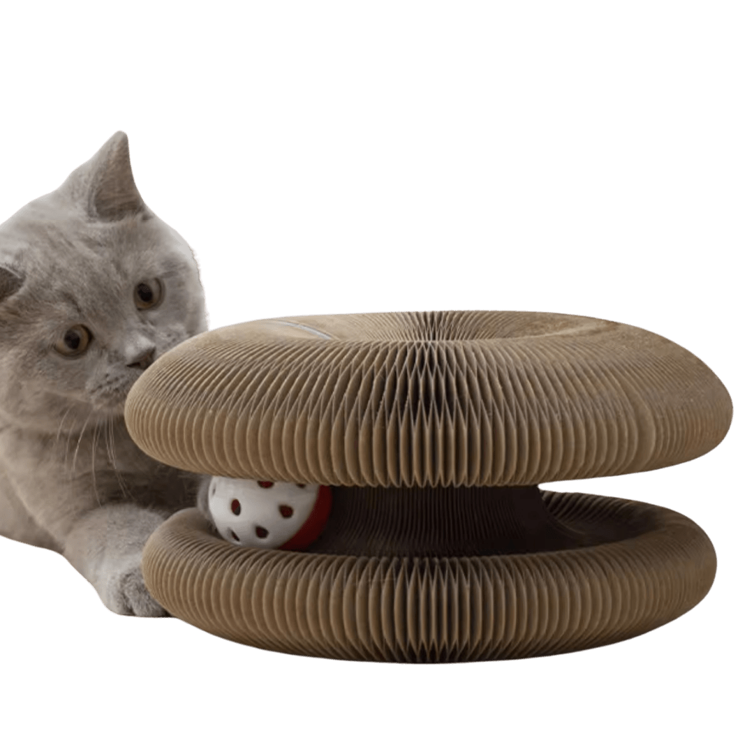 Cat Ball Toy - MaoMao - Paws
