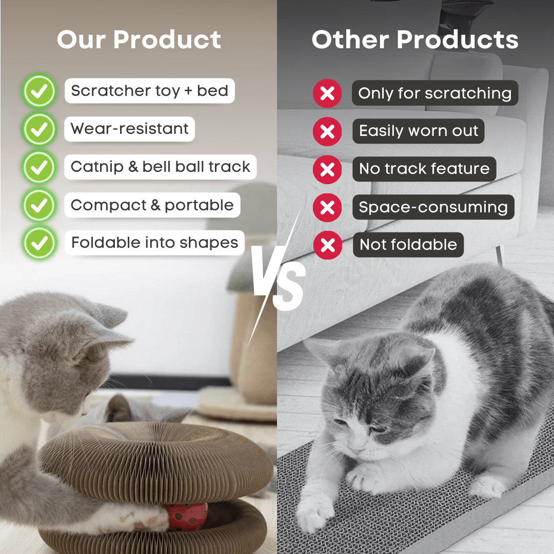 Cat Ball Toy - MaoMao - Paws