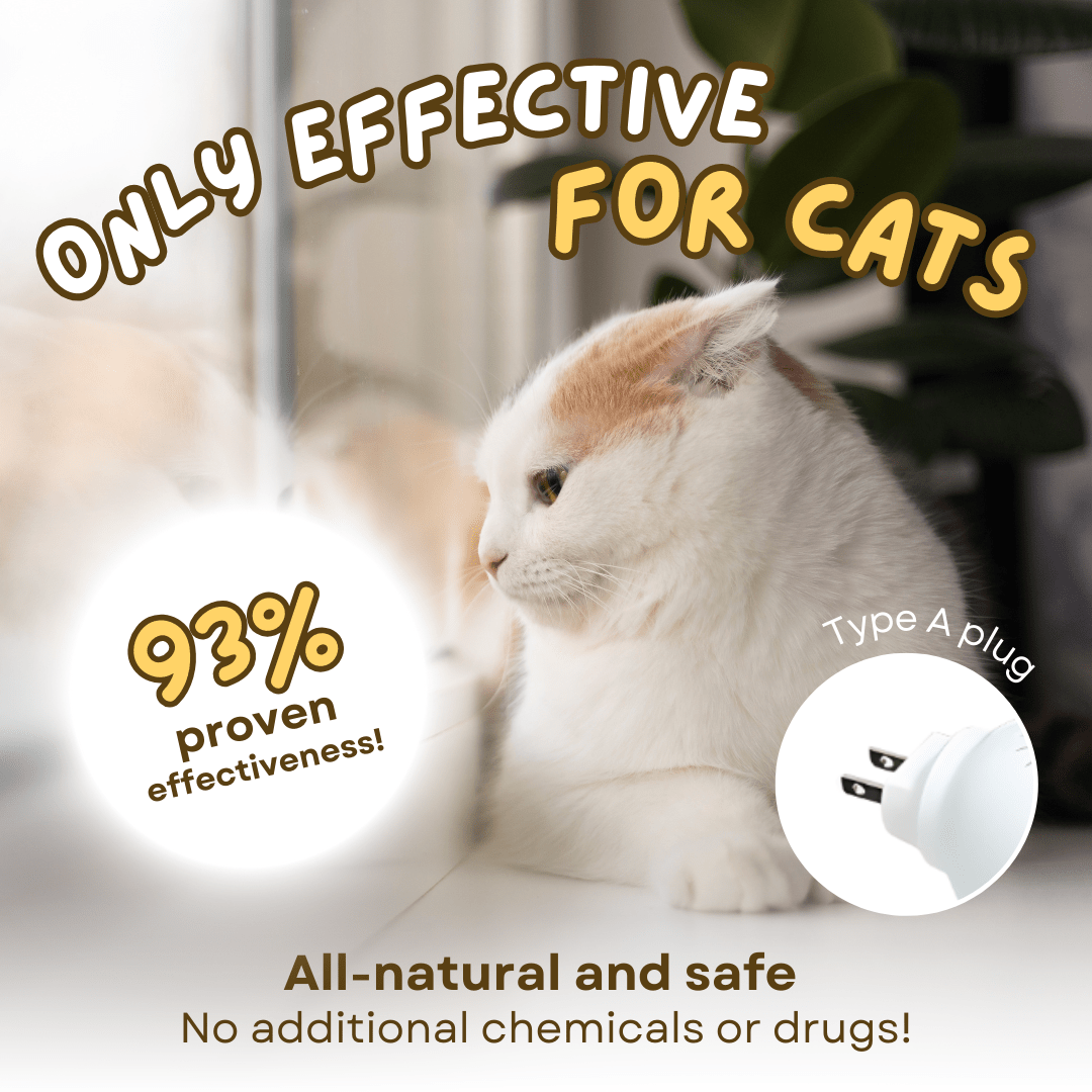 Cat Calming Pheromone - MaoMao - Paws