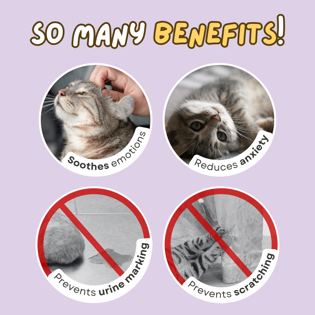 Cat Calming Pheromone - MaoMao - Paws