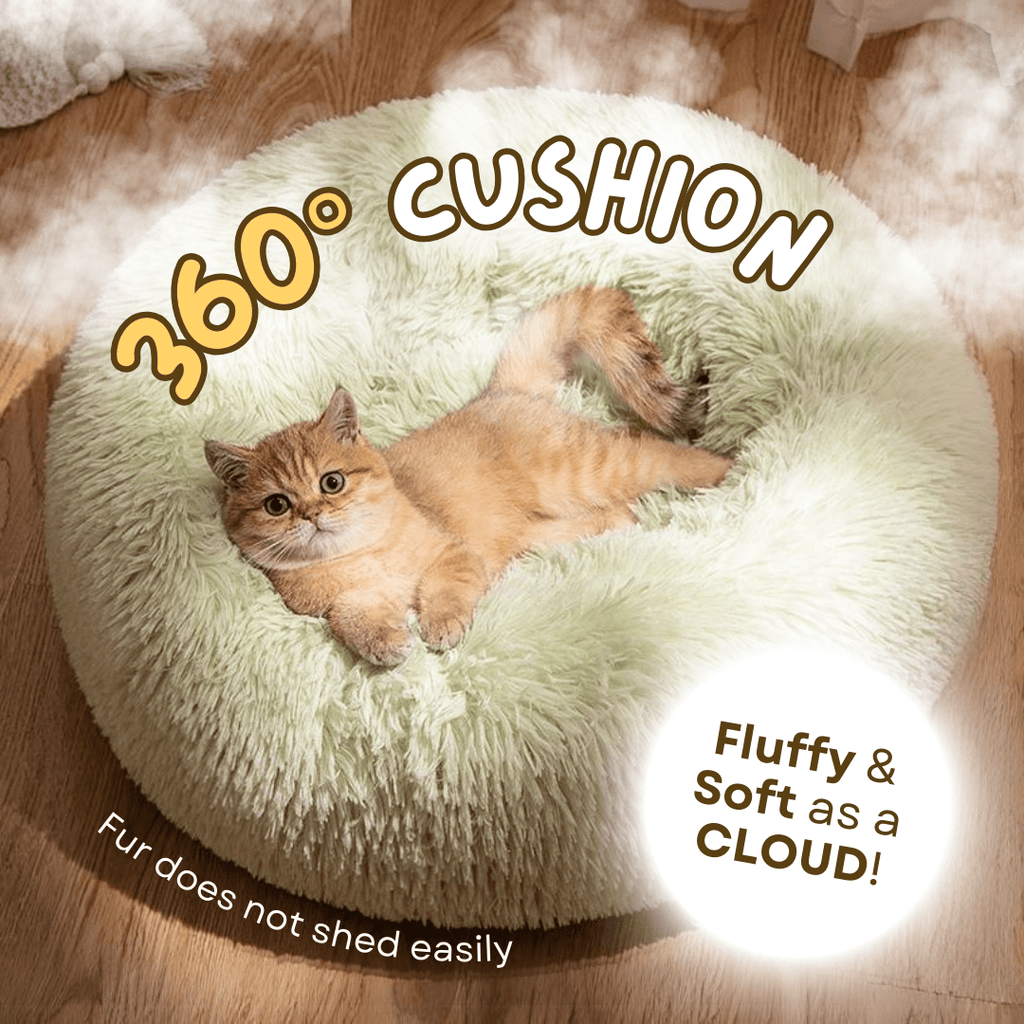 Cat Cloud Bed - MaoMao - Paws