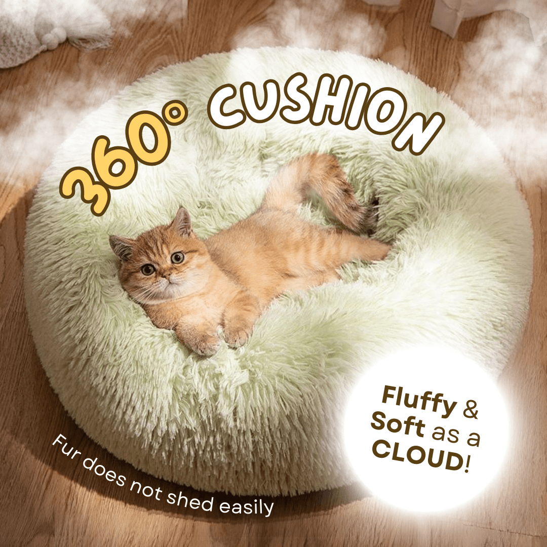 Cat Cloud Bed - MaoMao - Paws