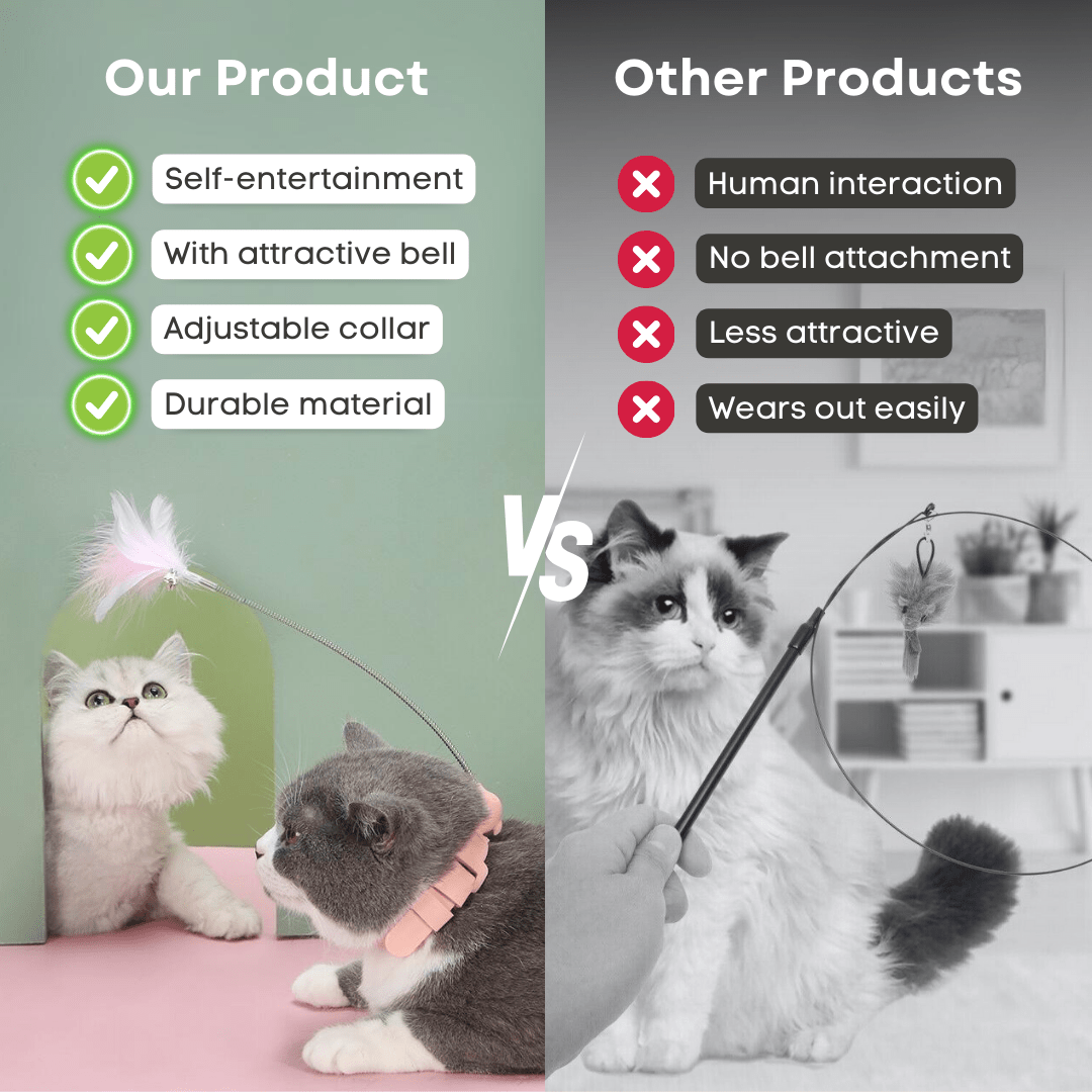 Cat Collar Toy - MaoMao - Paws