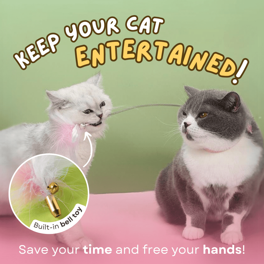 Cat Collar Toy - MaoMao - Paws