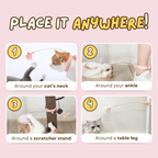 Cat Collar Toy - MaoMao - Paws