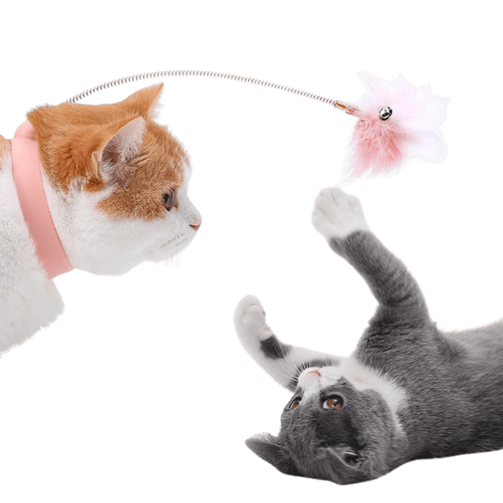 Cat Collar Toy - MaoMao - Paws
