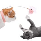 Cat Collar Toy - MaoMao - Paws