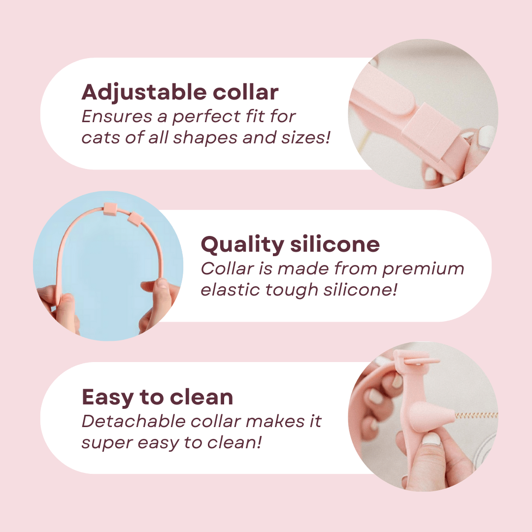 Cat Collar Toy - MaoMao - Paws