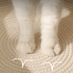 Cat Cozy Nest - MaoMao - Paws