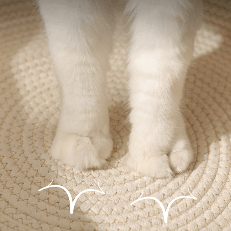Cat Cozy Nest - MaoMao - Paws