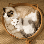 Cat Cozy Nest - MaoMao - Paws