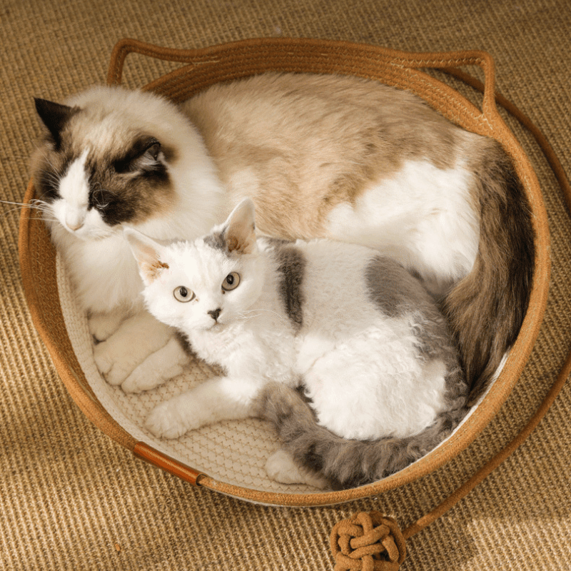 Cat Cozy Nest - MaoMao - Paws