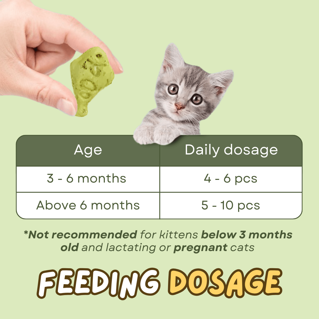 Cat Dental Treat - MaoMao - Paws