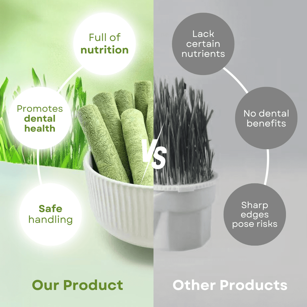 Cat Grass Teething Stick - MaoMao - Paws
