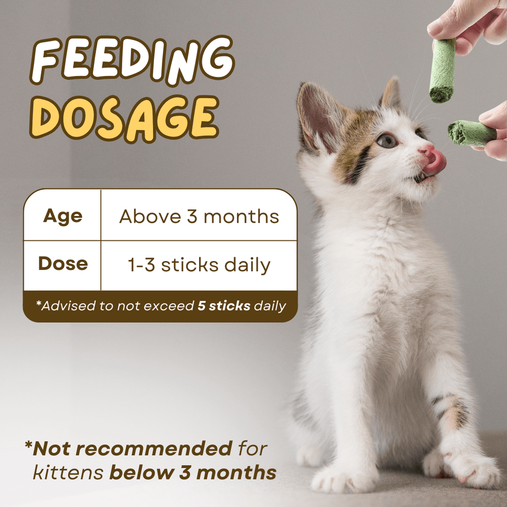 Cat Grass Teething Stick - MaoMao - Paws