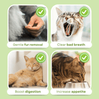 Cat Grass Teething Stick - MaoMao - Paws