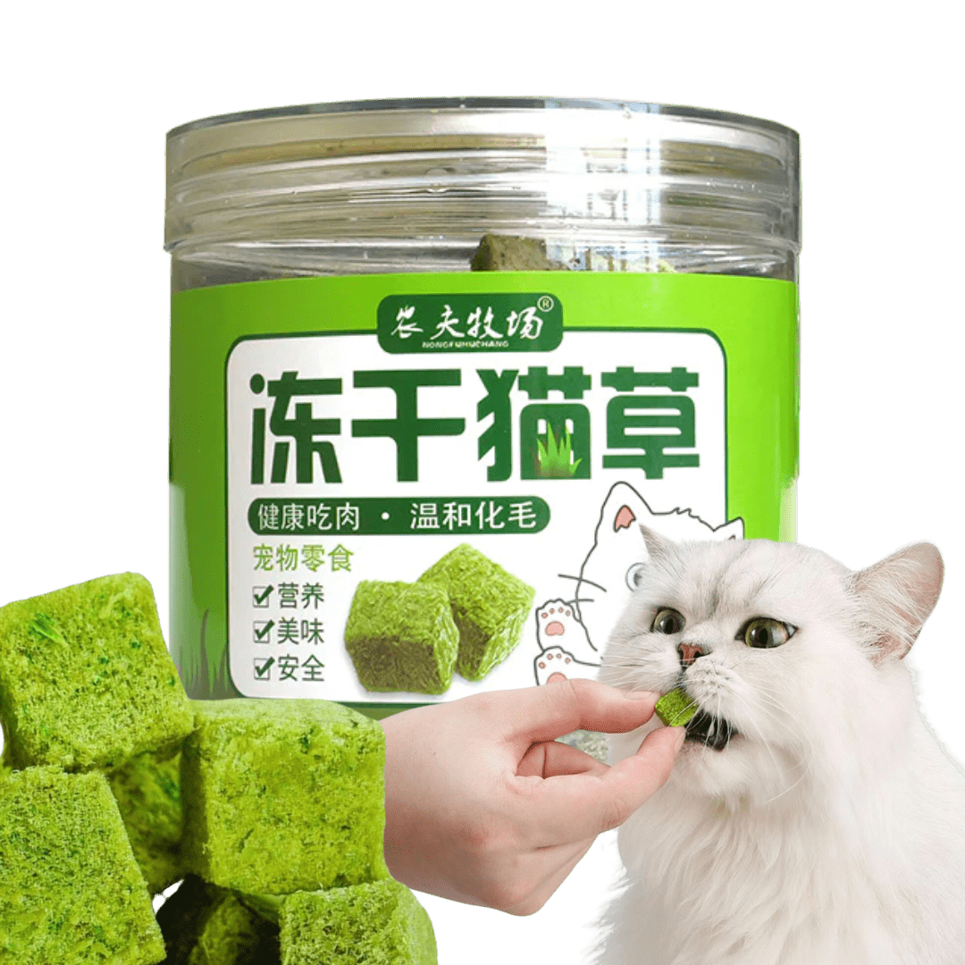 Cat Grass Treat - MaoMao - Paws