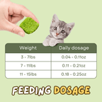 Cat Grass Treat - MaoMao - Paws