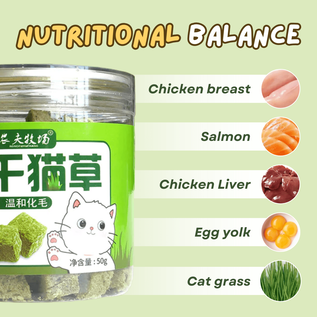 Cat Grass Treat - MaoMao - Paws