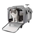 Cat Luggage - MaoMao - Paws