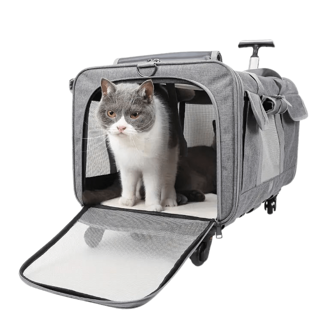 Cat Luggage - MaoMao - Paws