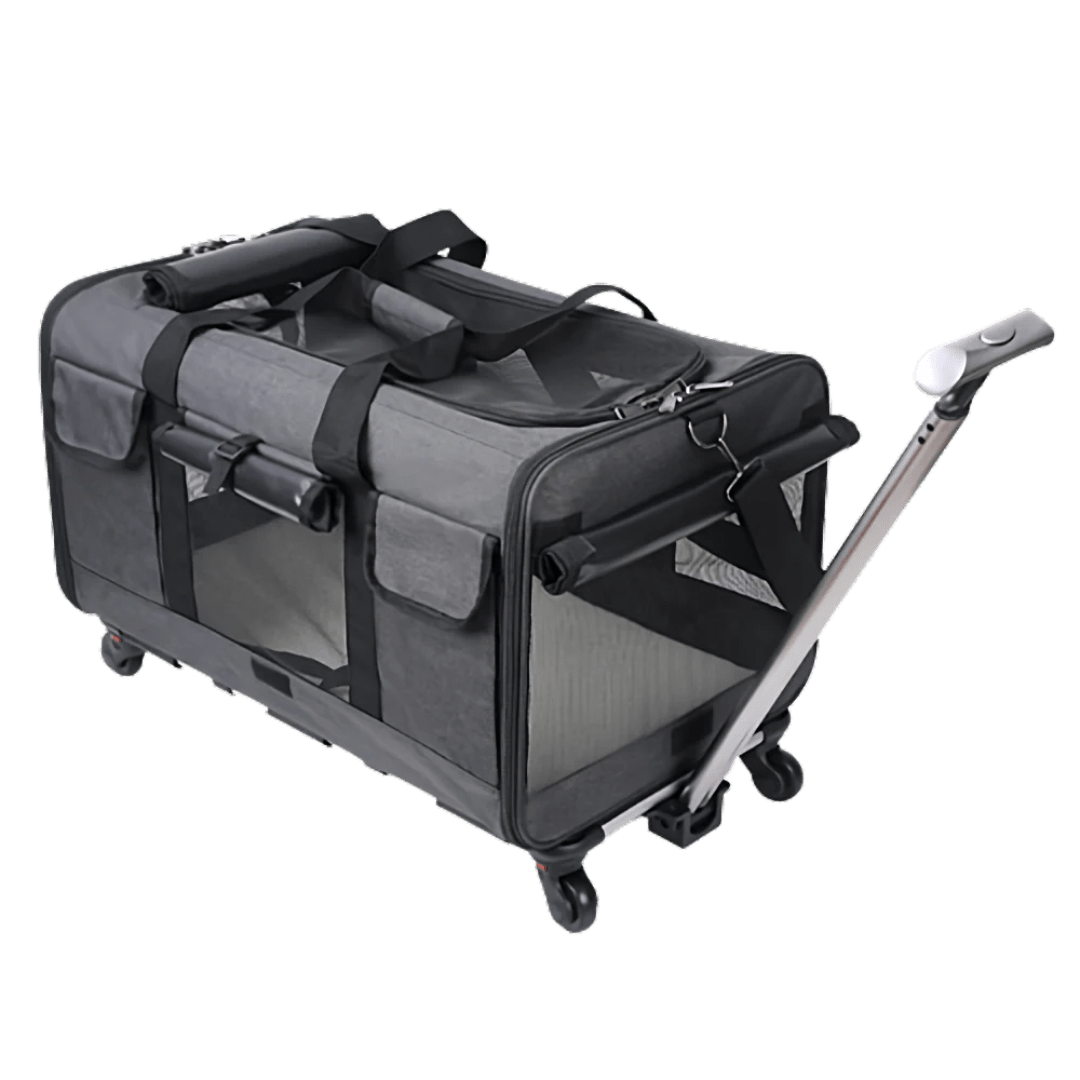 Cat Luggage - MaoMao - Paws