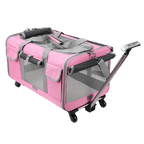 Cat Luggage - MaoMao - Paws