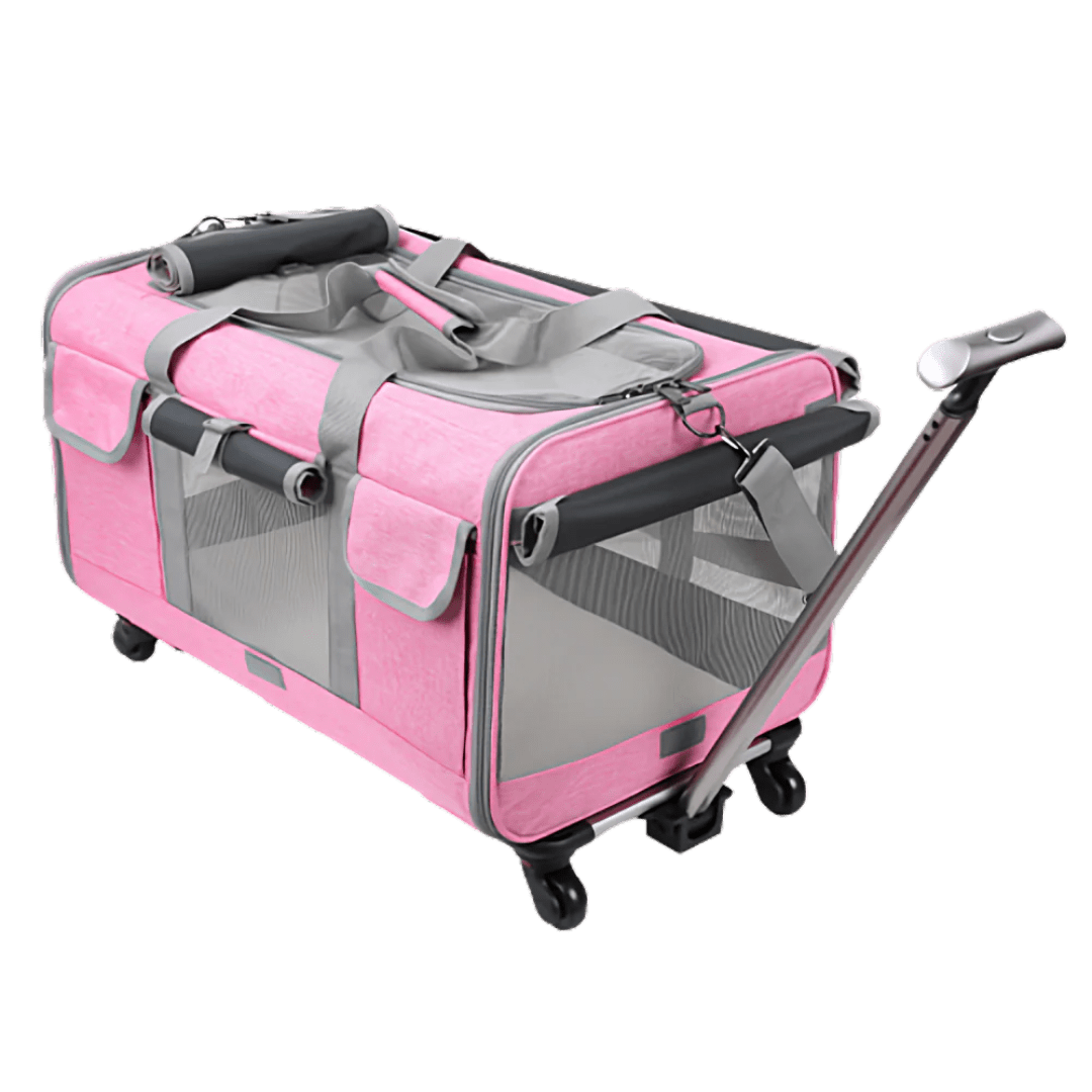 Cat Luggage - MaoMao - Paws