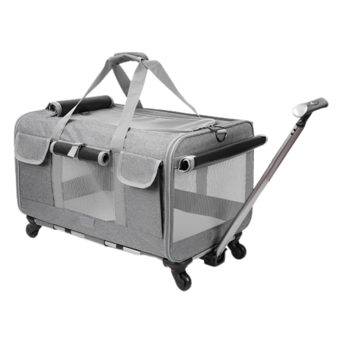 Cat Luggage - MaoMao - Paws