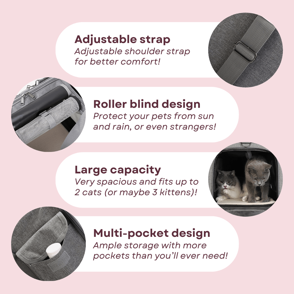 Cat Luggage - MaoMao - Paws