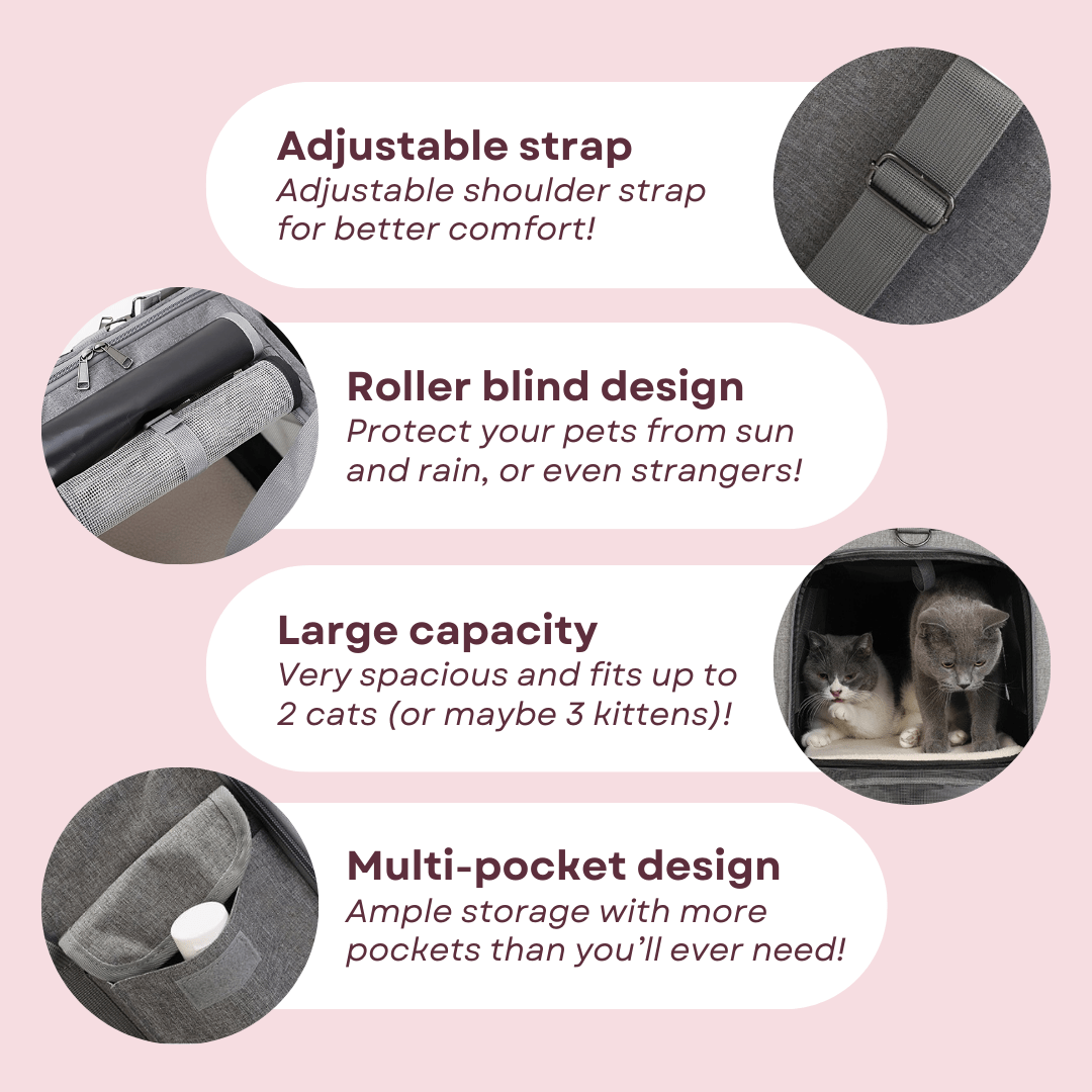 Cat Luggage - MaoMao - Paws