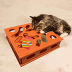 Cat Maze Box - MaoMao - Paws
