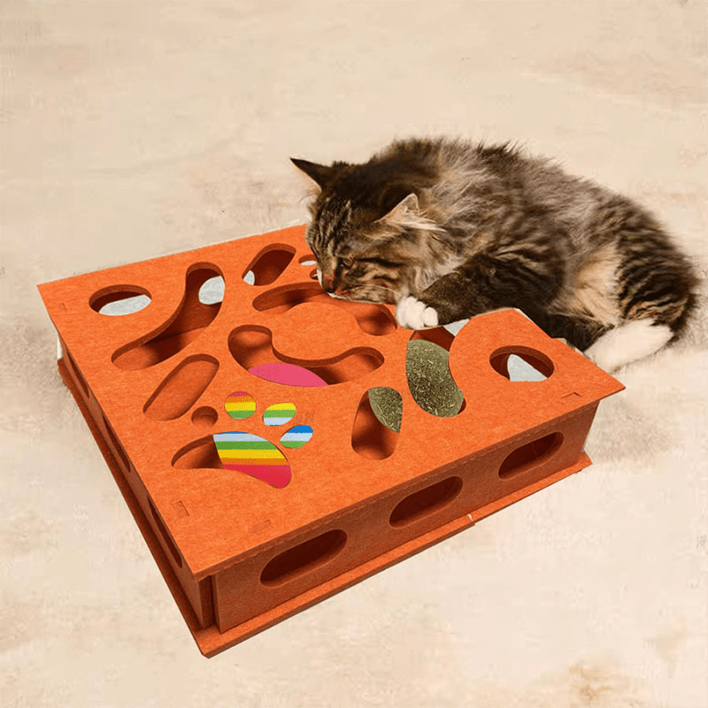 Cat Maze Box - MaoMao - Paws